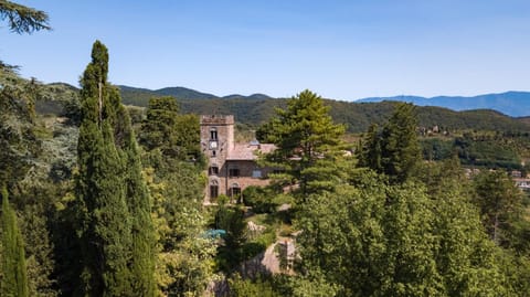 Property building, Bird's eye view