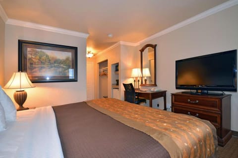 Bed, TV and multimedia, Photo of the whole room