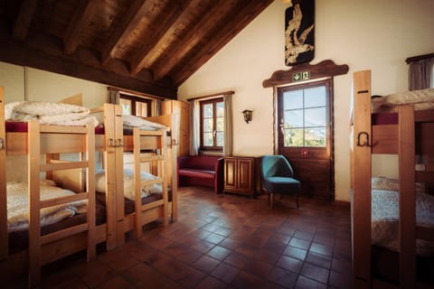 Bed, Photo of the whole room, Bedroom, bunk bed