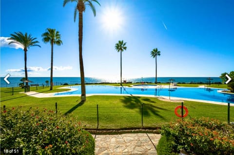 Garden, Swimming pool
