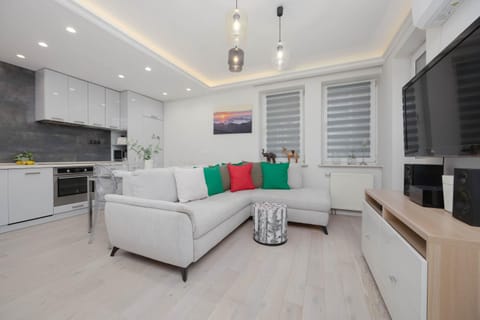 TV and multimedia, Kitchen or kitchenette, Living room, Seating area, Dining area, oven, stove