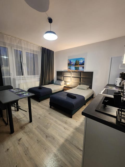 Bed, TV and multimedia, Kitchen or kitchenette, Dining area