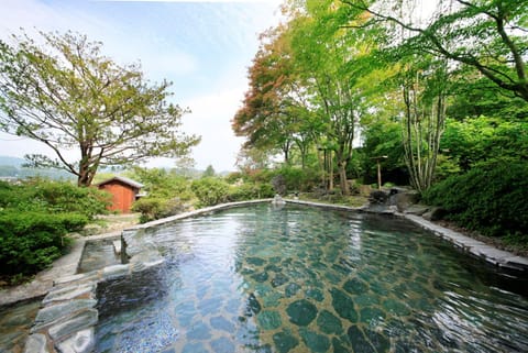 Natural landscape, Hot Spring Bath, Open Air Bath, Public Bath