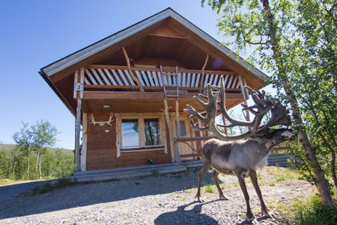 Saivaara Cottages Chalet in Norrbotten County, Sweden