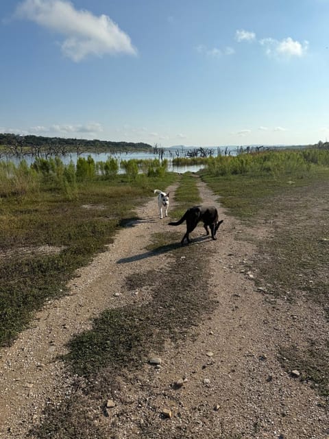 Forest Views-Dog friendly-Bonus Camper! House in Canyon Lake