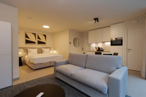Bed, Kitchen or kitchenette, Living room, Photo of the whole room, Seating area, Bedroom
