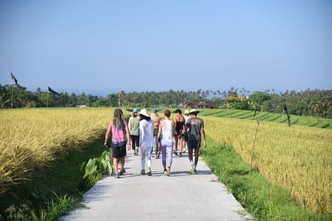 La Balian Villa and Retreat Nature lodge in West Selemadeg