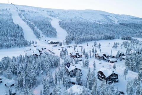 Bird's eye view, Winter