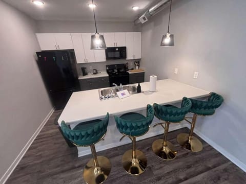 Olive Oasis Apartment in Des Moines