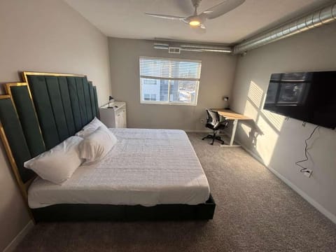 Olive Oasis Apartment in Des Moines