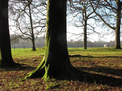 Property building, Natural landscape