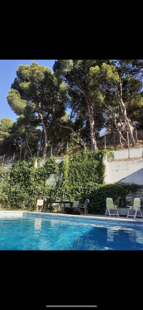 Garden, Swimming pool, Swimming pool