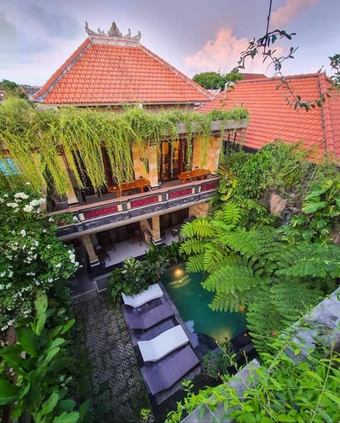 Natural landscape, Garden, Garden view, Pool view, Swimming pool, sunbed