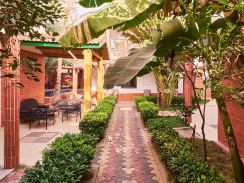 Property building, Patio, Spring, Day, Garden, Garden view