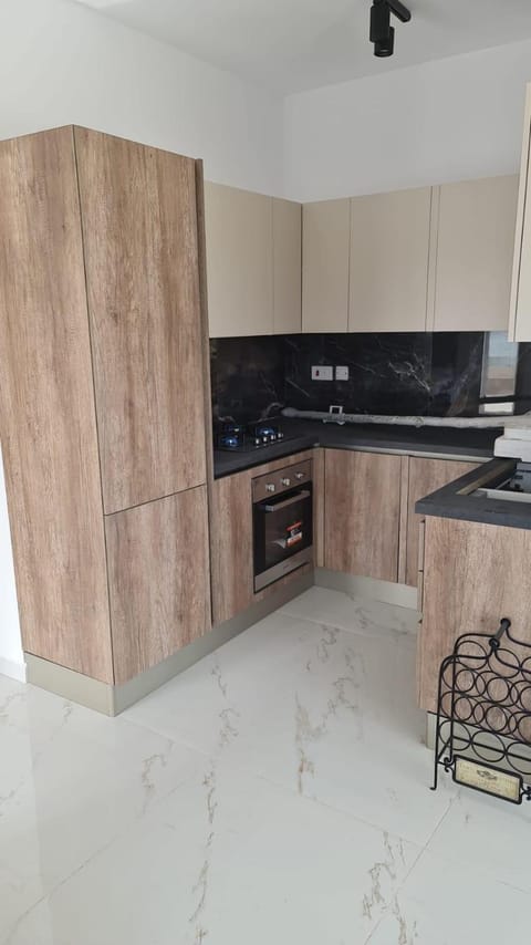 Kitchen or kitchenette, dishwasher, stove