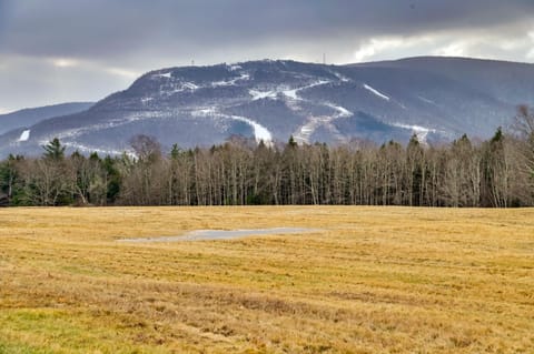 Less Than 1 Mi to Hunter Mtn Skiing Family-Friendly Stay! House in Hunter
