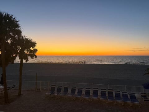 Your Perfect IRB Escape Awaits at The Narrows House in Indian Rocks Beach