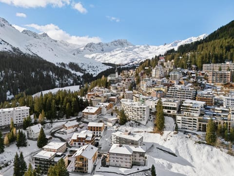 Property building, Day, Natural landscape, Bird's eye view, Winter, City view, Mountain view