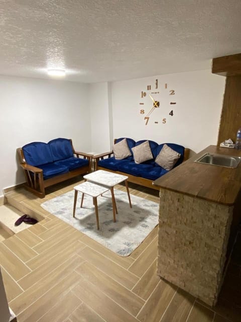 Kitchen or kitchenette, Living room, Photo of the whole room
