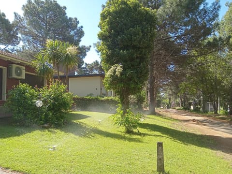 Garden, Street view