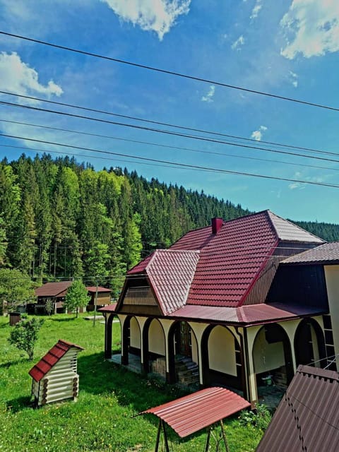 Property building, Spring, Day, Garden, Garden view