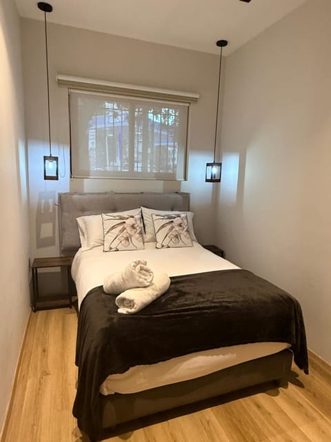 Narvarte Living Apartment in Mexico City