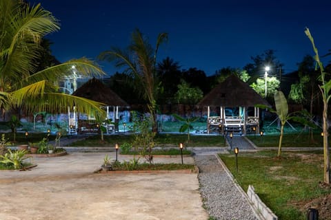 Night, Natural landscape, Garden, Garden, Garden view