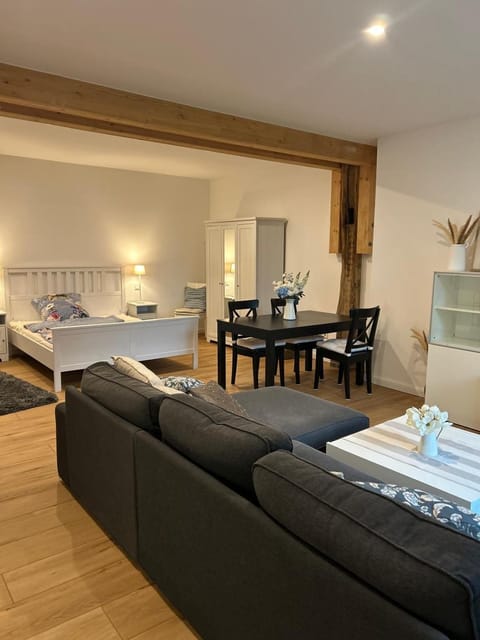 Bed, Living room, Photo of the whole room, Seating area, Bedroom