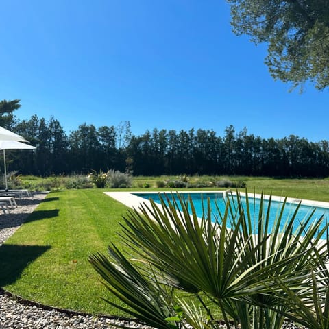 Garden, Garden view, Swimming pool