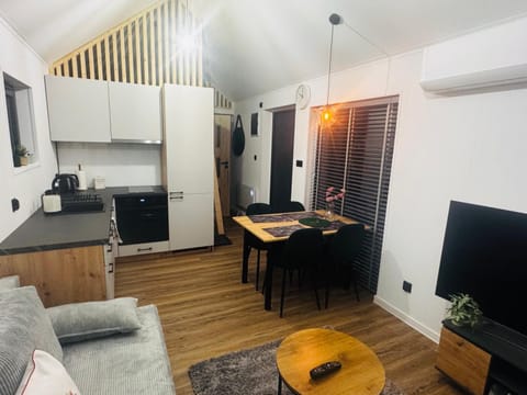 Kitchen or kitchenette, Dining area, oven, stove