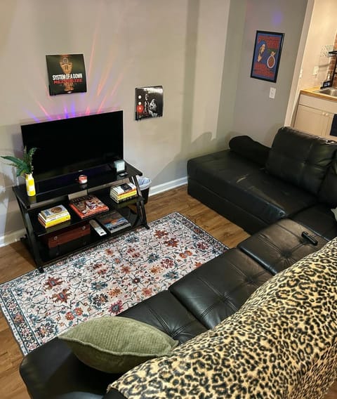 Boston Edison Cozy Gallery Studio Apartment in Detroit