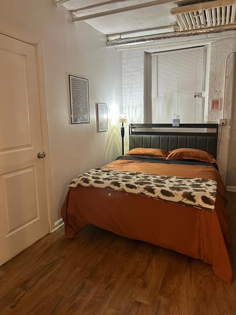 Boston Edison Cozy Gallery Studio Apartment in Detroit