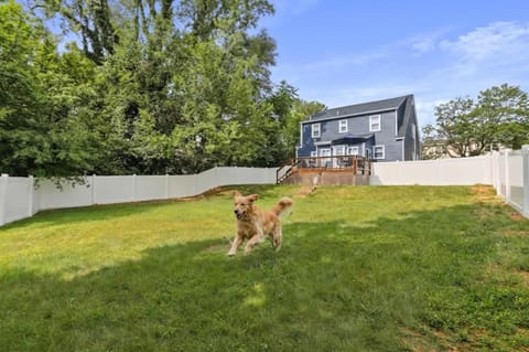 Cozy w Fenced Yard Games & Walkable to Luray House in Luray