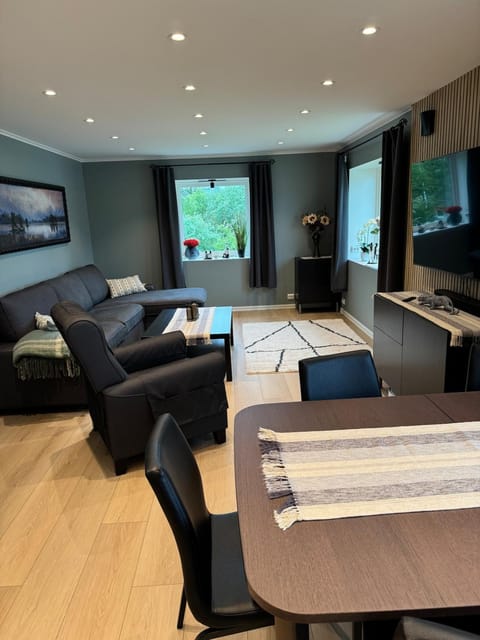 Lovely private home of 90 m2 with 3 bedrooms and 2 bathrooms Apartment in Lofoten