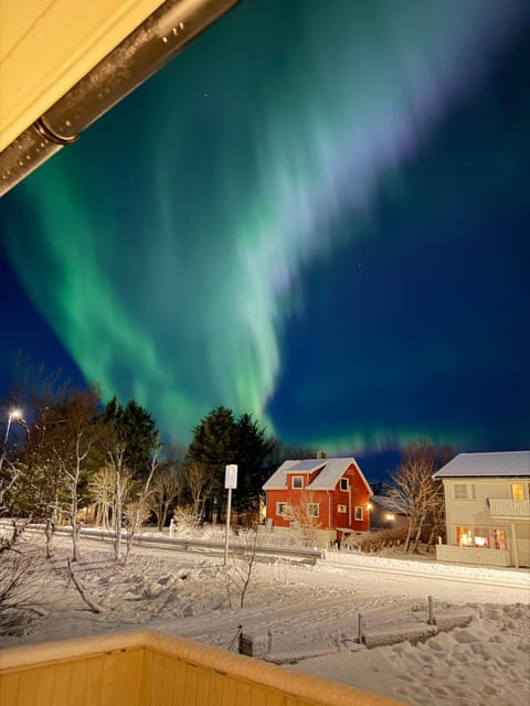 Lovely private home of 90 m2 with 3 bedrooms and 2 bathrooms Apartment in Lofoten