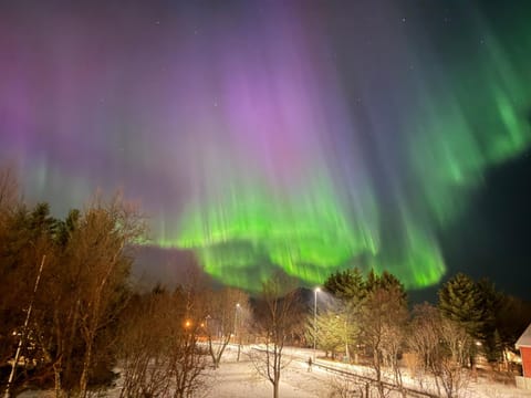 Lovely private home of 90 m2 with 3 bedrooms and 2 bathrooms Apartment in Lofoten