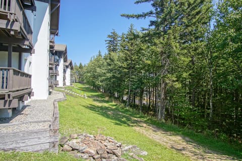 Property building, Facade/entrance, Day, Garden