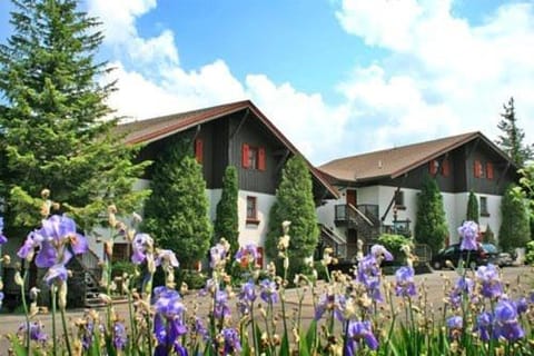 Property building, Day, Garden