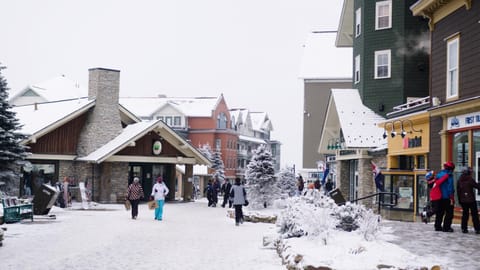 Property building, People, Winter, group of guests
