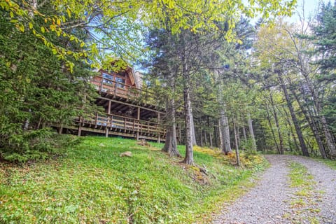 Property building, Day, Garden