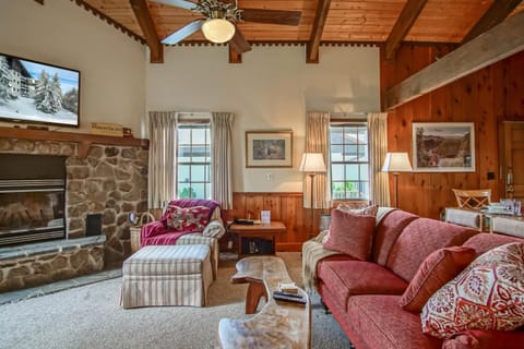 TV and multimedia, Living room, Seating area, fireplace