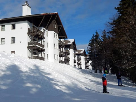 Property building, Day, People, Winter, group of guests