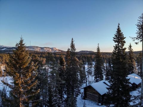 Nearby landmark, Day, Natural landscape, Winter, Mountain view
