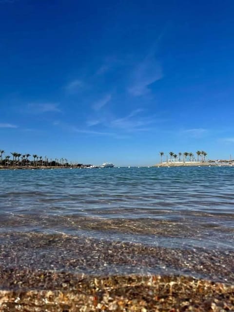 Day, Natural landscape, Beach