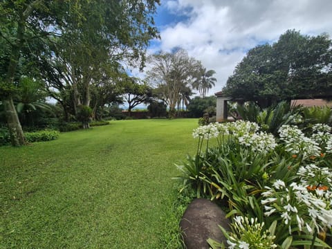 Day, Garden, Garden, Garden view
