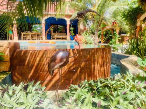 Garden, Pool view