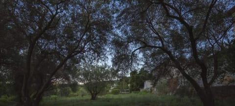 Gurba's House Apartment in Decentralized Administration of Macedonia and Thrace