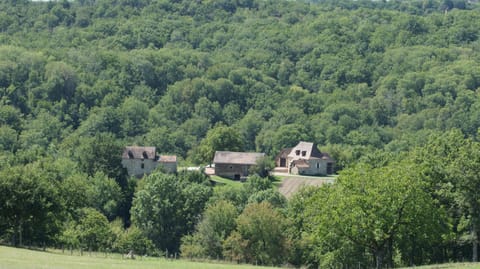 Property building, Natural landscape, Bird's eye view, Garden