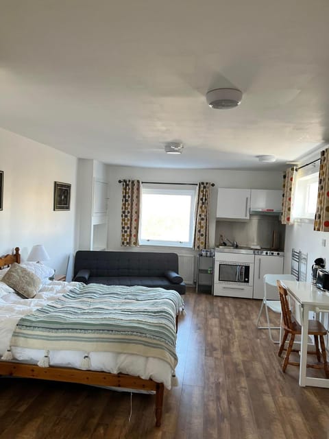 Kitchen or kitchenette, Living room, Photo of the whole room, Bedroom