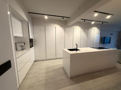 Kitchen or kitchenette, dishwasher, stove